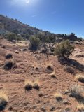 The Majestic Desert Landscape