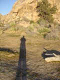 Shadow Over Land