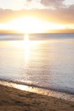 Surfer's Paradise
