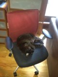 Lazy Afternoon