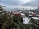 Urban Metropolis Rising Above Nature