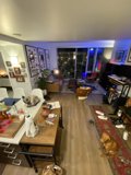 Cozy Living Room Hangout with Furry Friend