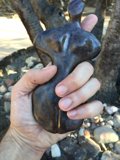 The Woman in the Palm