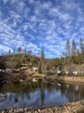 Voyage Through the Wilderness: A Lakeside View