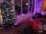 Christmas Cheer in a Warm Living Room