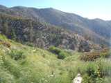 Train Ride Through San Gorgonio Wilderness