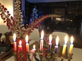 Festival of Lights