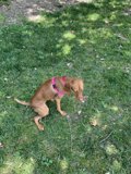 Relaxing in the Grass