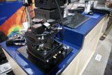 In Focus: A Closer Look at Biophysics