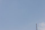 Towering Flight