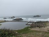 Serene Sea Shoreline