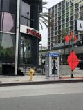 Bright Yellow Fire Hydrant