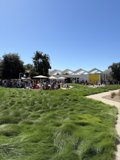 Sunny Day Gathering in Napa