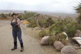 Desert Trekker