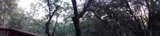 Serene Forest Groove