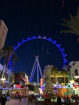 The High Roller Observation Wheel Illuminated at Night