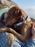 Rocky Hug
