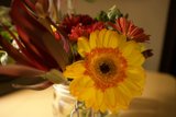 Floral Delight