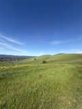 Rolling Green Hills Under a Vast Azure Sky