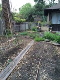 A Serene Backyard Garden Escape