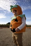 Pumpkin Harvest - Wesley's Adventure at Halfmoon Bay