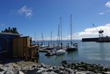 Serene Harbor Scene