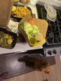 Canine Foodie