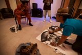 Sketching in Style