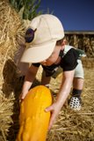 Autumn Harvest - A Boy and His Pumpkin