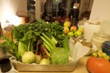 Harvest Delight