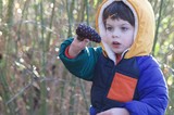 Young Child Discovers Pine Cone in Winter Forest
