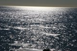 Glittering Horizon