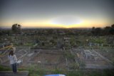 Sunset Stroll in the Community Garden