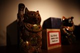 The Purrfect Shelf Decor