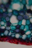 Mesmerizing Blue and Red Fractal Sphere