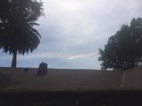 Rainbow Over Palm Trees and Rooftops
