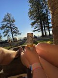 Enjoying a Lager in the Grove