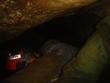 Cave Dweller