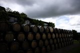 Wine Barrels in Napa Valley