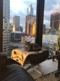 City Cat Nap