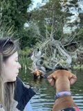 Serene Moment at Stow Lake