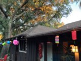 A Cozy House with a Majestic Tree
