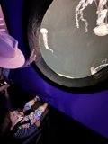 Little Explorer's Aquatic Discovery