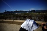 A Stroll in the Presidio