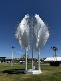 Sculpture in the Open Field