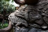 Lizard King of the Jungle