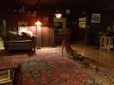 Playtime in the Living Room