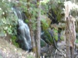 Majestic Waterfall amidst Lush Greenery