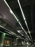 Green-Lit Tunnel