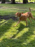 Catch Me If You Can